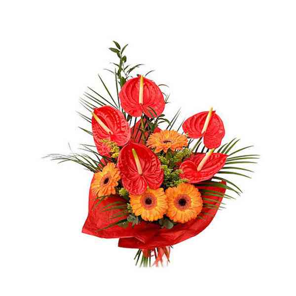 Anthurium-&-Gerbera-Bouquet