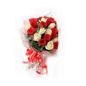 Red-&-White-Roses-21-Flower