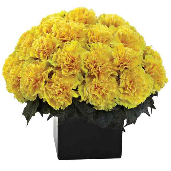 Yellow-Carnation-Basket